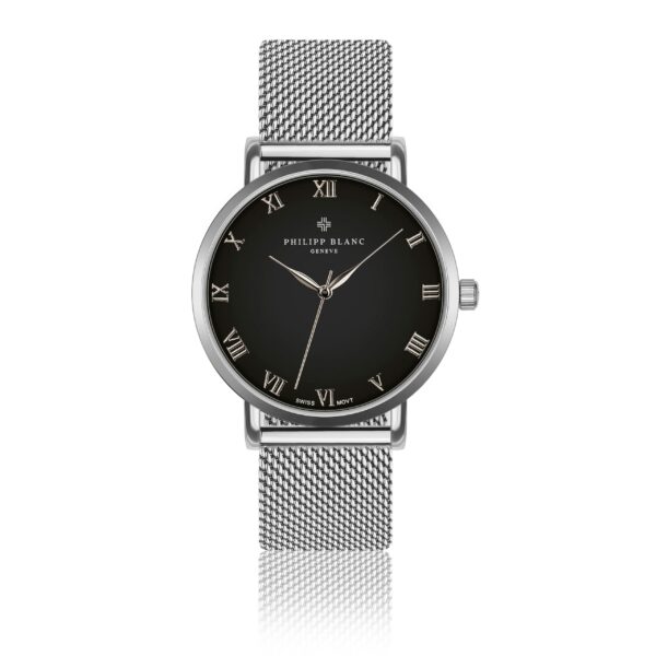 Silver Bern silver mesh