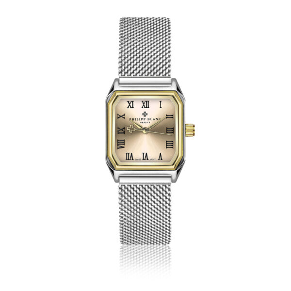 Delémont Silver Mesh